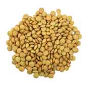 Lentils-Seeds